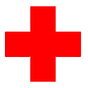 NSS Logo